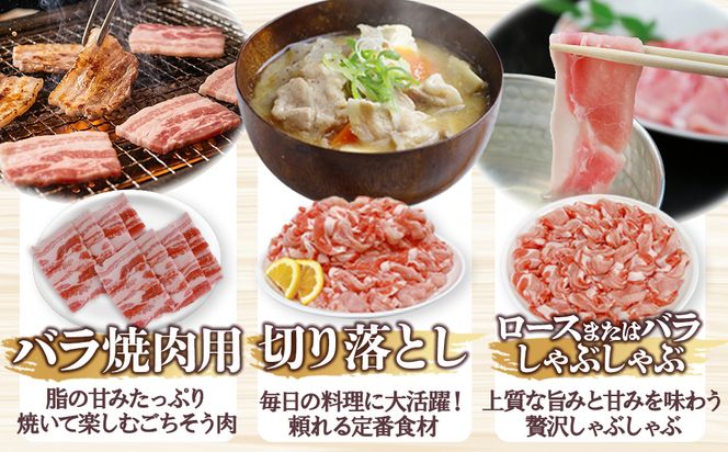 宮崎県産 豚肉 桜印ポーク5種セット (ロースまたは肩ローススライス / ロースまたはバラしゃぶしゃぶ / 切り落とし / ロースカツ / バラ焼肉) 合計3.2kg 小分け 冷凍 国産 送料無料 九州産 肉 お肉 豚 詰め合わせ
