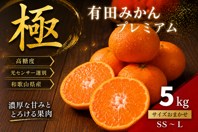 ＼光センサー選別／極 有田みかんプレミアム 約5kg【光センサー 高糖度選別品】2S～Lの小玉サイズ 有機質肥料100% | 光センサー選別 温州みかん みかん 高糖度 柑橘 果物 フルーツ 甘い◇