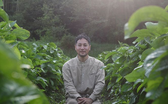 【2026年10月発送】有機黒枝豆 ひかり姫 1kg 200g×5袋 さや 希少 先行 予約 おつまみ