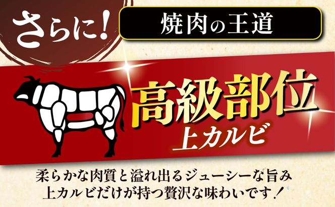 【スピード発送】博多和牛 A5,4等級 上カルビ焼肉 500g《築上町》【久田精肉店】 焼肉 カルビ 国産 人気 おすすめ[ABCL181]
