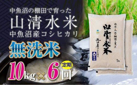 【定期便／全6回】無洗米10kg　新潟県魚沼産コシヒカリ「山清水米」十日町市 米