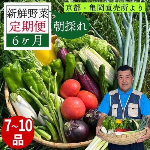 [6/4〜7/3 限定企画]野菜 定期便 直送 6回 朝採れ 7〜10品目 京都丹波 亀岡 佐伯の里 訳あり生活応援 家計応援 ※北海道・沖縄・離島への配送不可[定期便 お申込みで卵マヨ付]