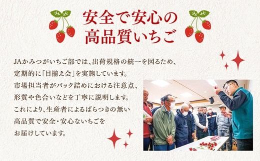 【先行予約】いちご市 鹿沼の美味しい「い」「ち」「ご」とちあいか 1箱4パック入り（1パック270g×4）（2月発送） ｜ イチゴ フルーツ 果物 甘い うまい 日本一 品質 ビタミンC かぬま ※沖縄・離島への配送不可 ※2026年2月上旬～2月下旬頃に順次発送予定