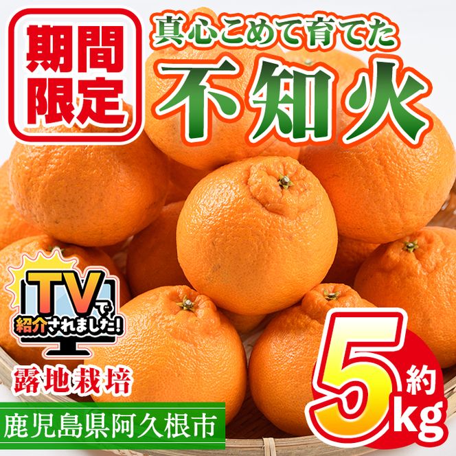 ＜先行予約受付中！2027年3月上旬以降順次発送予定＞ ＼テレビで紹介されました！／数量限定！鹿児島県産 露地栽培の不知火(計約5kg：大将季) 国産 みかん ミカン 柑橘 フルーツ 果物 旬 デザート 期間限定 しらぬい シラヌイ【三笠農業生産】akn051-10