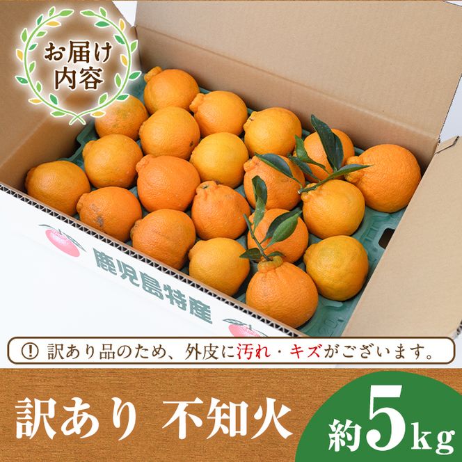 ＜先行予約受付中！2027年2月以降順次発送予定＞＜訳あり・不揃いの為＞数量限定！無加温ハウス不知火(5kg) 国産 鹿児島県 阿久根市 果実 果物 フルーツ 柑橘 みかん ミカン 期間限定 数量限定【桐野柑橘株式会社】akn070-12