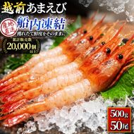 甘えび 刺身 500g 約50尾 越前甘えび 子なし 生食用 冷凍 えび エビ 海老 甘海老 あまえび 海鮮 魚介 魚介類 国産 日本海 福井県 若狭町