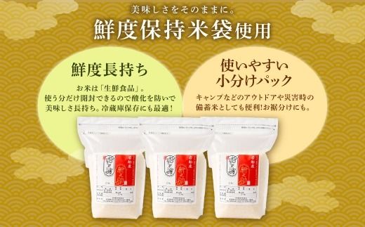 【新米受付・令和8年産米】新潟県村上市岩船産 新之助6kg（2kg×3袋）1099003N