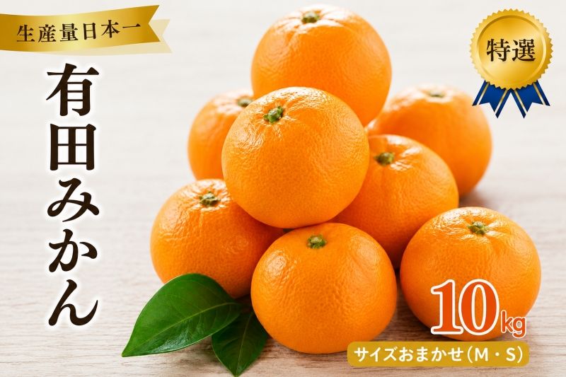 有田 みかん 特選 10kg / 温州みかん 有田みかん 甘い 高級 和歌山 柑橘 ※2026年12月順次発送予定 ※北海道・沖縄・離島への配送不可 [sml004-p-10]