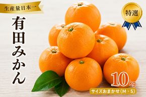 有田 みかん 特選 10kg / 温州みかん 有田みかん 甘い 高級 和歌山 柑橘 ※2026年12月順次発送予定 ※北海道・沖縄・離島への配送不可 【sml004-p-10】