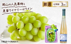 定期便 2026年 先行予約 岡山の人気果物と是里ワイナリーのワイン 厳選 3回コース ぶどう シャインマスカット 晴王 清水白桃 ワイン 赤磐市