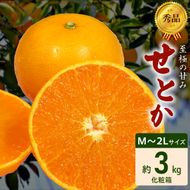 DZ6206_秀品　せとか 和歌山　有田 化粧箱 M～2Lサイズ 大きさお任せ 3kg