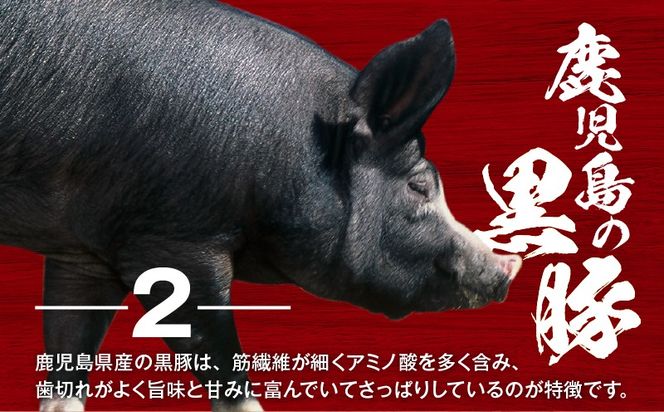 【14営業日以内に発送】＜容量選べる！＞鹿児島県産黒豚フランクフルト 1kg or 1.5kg　K025-002