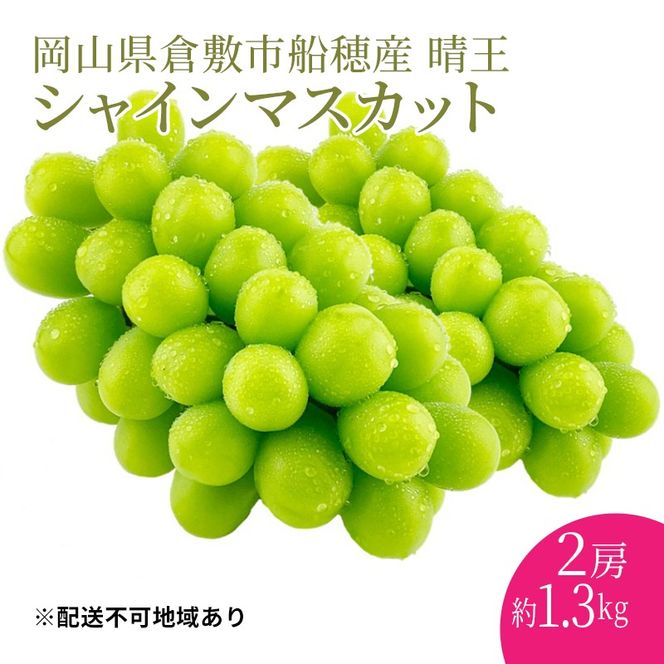 ぶどう 2026年 先行予約 【プレミアムシャインマスカット 晴王 2房 合計約1.3kg 】船穂産 赤秀品以上 岡山県産 葡萄 ブドウ ギフト ハレノフルーツ 皮ごと食べる みずみずしい