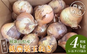 ［2026年発送分・先行予約］訳あり 農家さん直送 低農薬玉ねぎ 4kg程度 S～2L混合［4月中旬～7月中旬頃発送予定］ご家庭用 ※傷有り［KF19］ 303446_BE90024
