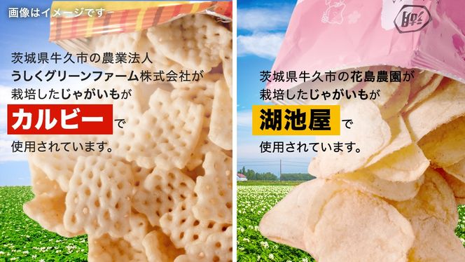 カルビー 湖池屋 人気 24種 詰め合わせ お楽しみ スナック菓子 セット