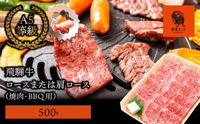 AJ-3-R7 【飛騨牛】ロースまたは肩ロース600g (焼肉・BBQ用)
