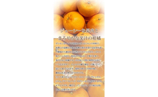 紀州和歌山有田産ポンカン 5kg