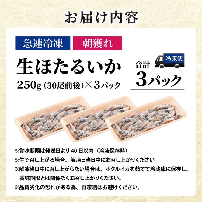 生 ホタルイカ 急速冷凍 【カネツル砂子商店】 / ほたるいか 冷凍 生 ホタルイカ刺身 ホタルイカしゃぶしゃぶ ホタルイカボイル ホタルイカ沖漬 [A-002011]