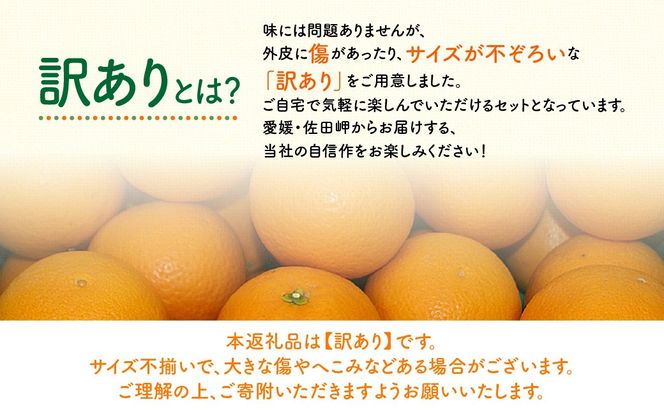 【先行予約】【訳あり】産地直送！愛媛県産清見タンゴール 5kg（2027年2月下旬より順次発送）IKTF035