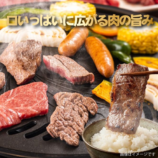 【店舗特売品】黒毛和牛赤身焼肉用 500g（黒毛和牛 赤身 赤身肉 モモ 焼肉 BBQ 宮崎県）