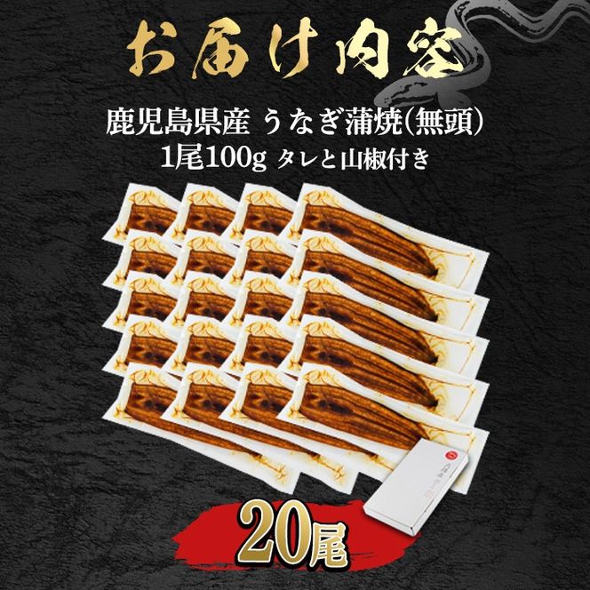 【0734328a】＜食べきりサイズ！＞東串良町のうなぎ蒲焼(無頭)(20尾・計2000g・タレ、山椒付) うなぎ 高級 ウナギ 鰻 国産 蒲焼 蒲焼き たれ 鹿児島 ふるさと 人気 【アクアおおすみ】