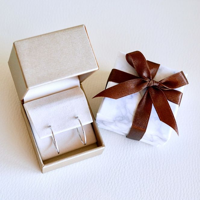 Pt900 プラチナ 地金 パイプ フープ 定番 ピアス（直径20mm) 保証書付 KO-0078 SWAD105