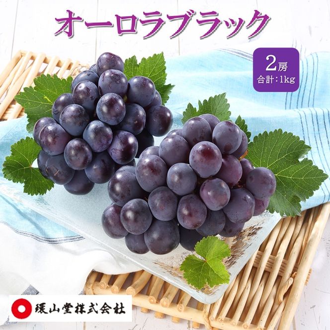 ぶどう 2026年 先行予約 オーロラブラック 2房 合計1.0kg ブドウ 葡萄 岡山県産 国産 フルーツ 果物 ギフト 環山堂