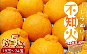 【先行予約】 ＼ みかんの名産地 和歌山県産／ 農家直送 不知火 約5kg(18～24玉) ひとつひとつ手選別で厳選【2025年2月中旬頃発送予定】/【hdm002】