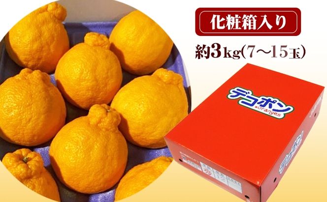 【県共通返礼品】貯蔵デコポン　約3kg化粧箱 果物 みかん 柑橘 低温貯蔵 香川県 