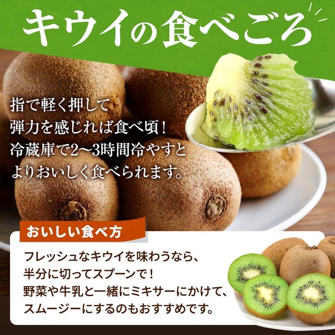 【先行予約】 先行予約！和歌山県産 秀品 キウイフルーツ 大玉15個入 こだわり農家厳選  / キウイ 果物 フルーツ ※2026年12月中旬～2027年1月中旬頃に順次発送予定 ※沖縄・離島への配送不可【kgr021】