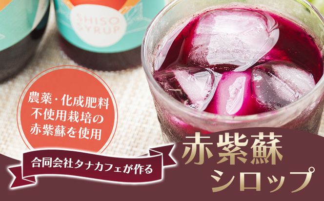 赤紫蘇 シロップ(赤しそシロップ) 3本 合計900ml - シソ 赤しそ ジュース 飲料 ドリンク ソーダ割り カクテル スイーツ 濃縮 tc-0009