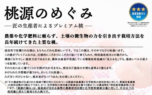 ◆2025年夏発送◆桃源のめぐみ ～産直・桃・約2kg～ ※離島への配送不可 ※2025年7月上旬～9月中旬頃に順次発送予定