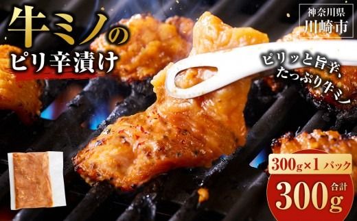 牛ミノ ピリ辛漬け 300g ビールに合う お酒のお供 焼肉 おすすめ 小分け 使いやすい 焼くだけ 焼き肉 バーベキュー 味噌たれ漬け 冷凍 配送時期が選べる 個包装 冷凍保存 アウトドア キャンプ BBQ おすすめ 人気