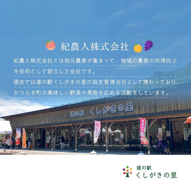 あんぽ柿 和歌山県産 60g×12玉 竹籠入り / 柿 かき デザート おやつ 和菓子 菓子 お菓子 和歌山産 和歌山県産【kgr016】