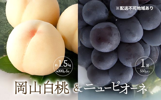 桃 ぶどう 2027年 先行予約 清水 白桃 5玉 約1.5kg 1玉約300g ニュー ピオーネ 1房 550g以上もも 葡萄 詰合せ 岡山 国産 フルーツ 果物 ギフト 桃茂実苑