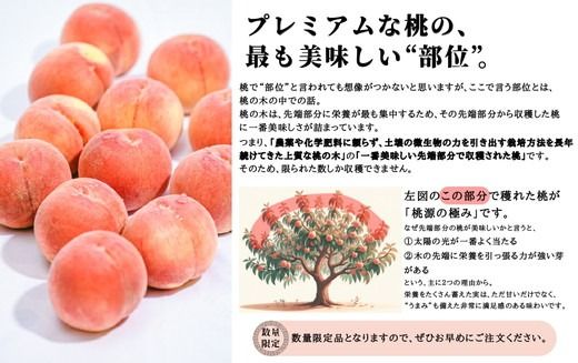 ◆2025年夏発送◆桃源の極み ～産直・桃・約2kg～ ※離島への配送不可 ※2025年7月上旬～9月上旬頃に順次発送予定