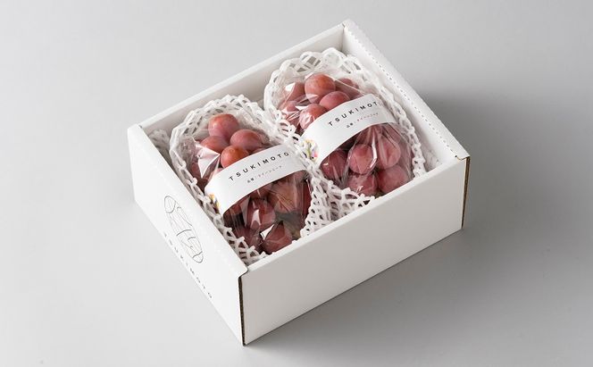 【2026年先行予約】 ぶどう 岡山県産 クイーンニーナ 1kg箱（2～3房） 《2026年8月下旬-9月下旬頃出荷》 葡萄 ブドウ 岡山県産 フルーツ 果物 スイーツ 数量限定 期間限定 岡山 里庄町 ブドウ ぶどう 葡萄 