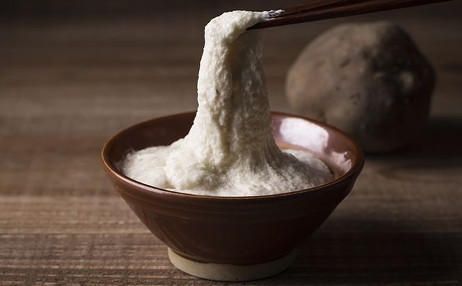 令和7年度産 加賀丸いも 4.2kg 