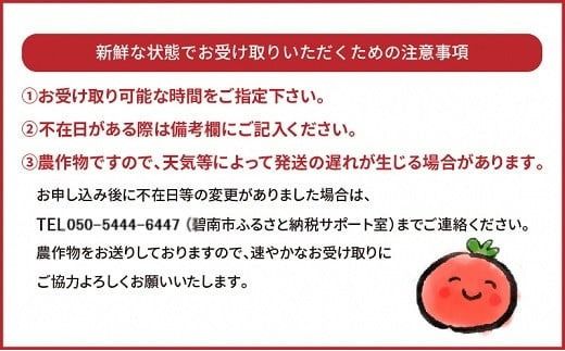 【先行受付】2027年1月～6月毎月発送　幻のミニトマト　トマトベリーの定期便　6回コース 野菜ソムリエサミット 金賞 受賞 長田農園 産地直送 トマト とまと 野菜 やさい フルーツ サラダ 濃厚 甘い ご褒美 プレゼント 美容 健康 リピート多数 人気 高評価 数量限定 碧南市 H004-231