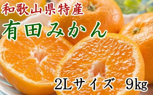 [秀品]和歌山有田みかん約9kg(2Lサイズ) ★2025年11月中旬頃より順次発送【TM85w】 BZ040