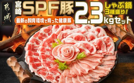 y{茧sszu{SPF؁vԓ3퐷2.3kgZbg_MJ-K902_(ss) {茧Y  [X [XXCX o Ԃ 