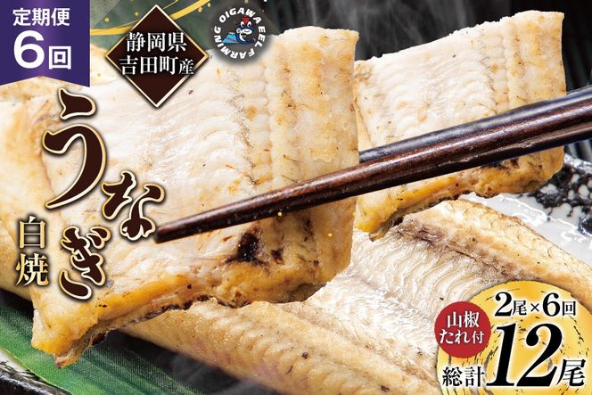 yÉgczȂ Y   150gȏ 2 6 v12 ^ R t [삤Ȃ É gc 22424564] V EiM unagi Ă VĂ ^pbN Ⓚ ÉY