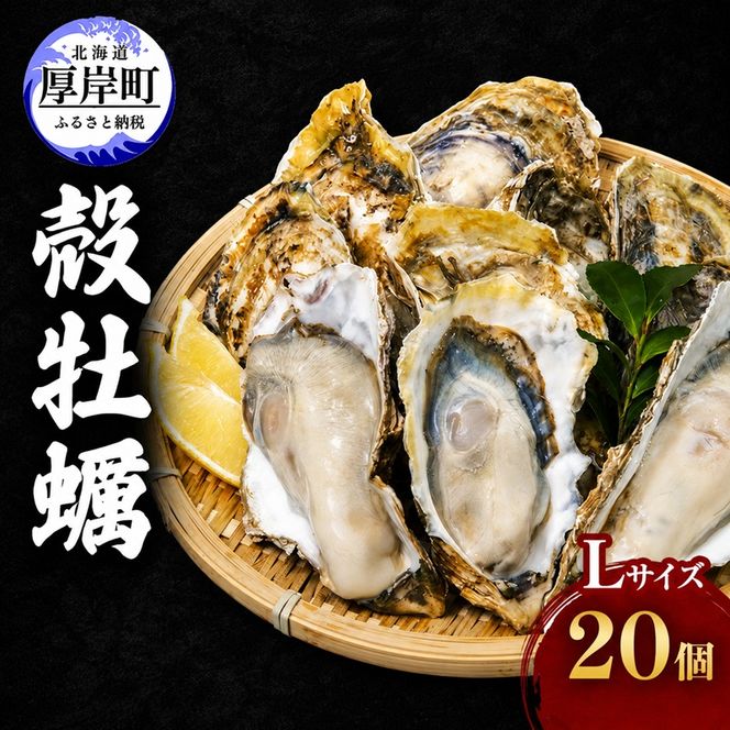 厚岸産 殻牡蠣 Lサイズ 20個 セットカキ 牡蠣 魚介類 送料無料 新鮮 濃厚 大粒 マルえもん メルマガ掲載商品2 