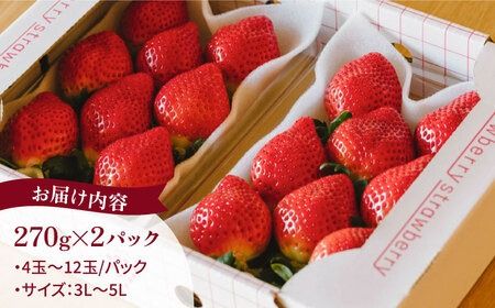 【予約：2025年1月上旬より順次発送】完熟あまおう 270g × 2パック 糸島市 / slowberry strawberry [APJ002] 苺 あまおう イチゴ