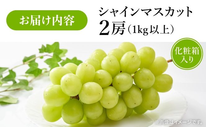 ＜先行予約＞ シャインマスカット 2房（1kg以上）化粧箱入り