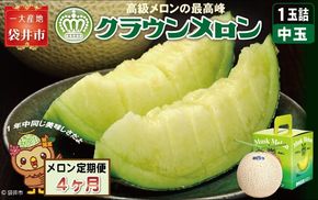 【4ヶ月定期便】クラウンメロン（白等級）中玉　1玉入 　果物 フルーツ デザート メロン マスクメロン 青肉 高級 ギフト 贈り物 静岡県産 袋井市