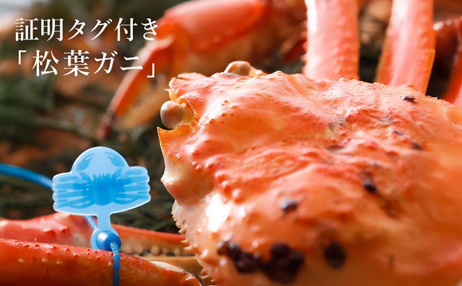 【kinosaki spa&gardens　湯楽使用】タグつき 釜茹で松葉ガニ　約900ｇ