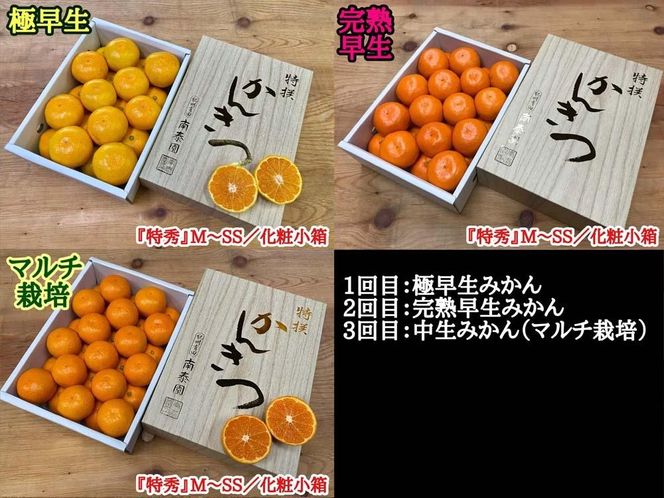 定期便 有田みかん 食べくらべ 3種 化粧小箱 各約 2kg 南泰園 全3回 2026年 10月 発送開始 みかん  BS850
