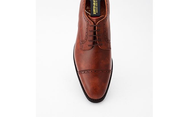 スコッチグレイン 紳士靴 「シャインオアレインIV」 NO.2773BR メンズ 靴 シューズ ビジネス ビジネスシューズ  ファッション 仕事用 パーティー フォーマル 