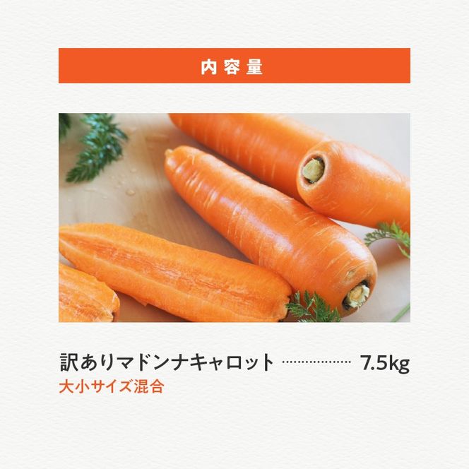 【福箱★2027】訳あり！「マドンナキャロット」 7.5kg　H105-277